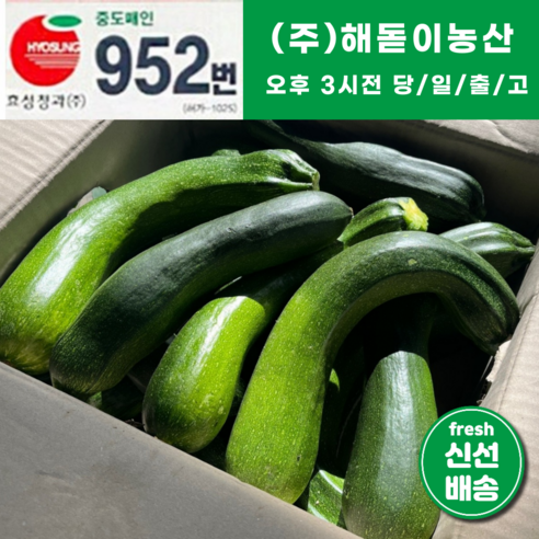 해돋이농산 국내산 쥬키니호박 주키니호박 못난이호박 3kg 5kg 10kg, 1개