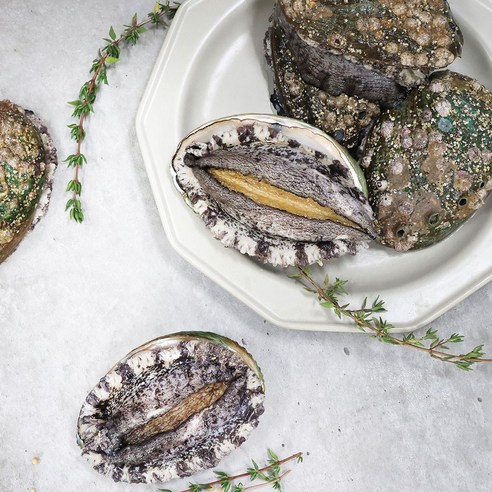 완도청정수산 큰전복 1kg, 중 1kg (14-..., 1개 - 전복/굴/조개류 | 쿠팡