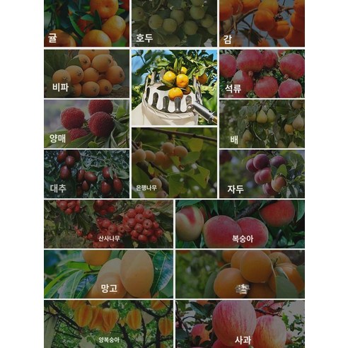 과일 따기 비파 양매 자두 복숭아 살구 고공 과일 따기 과일 따기 신기 신축 막대, 1개