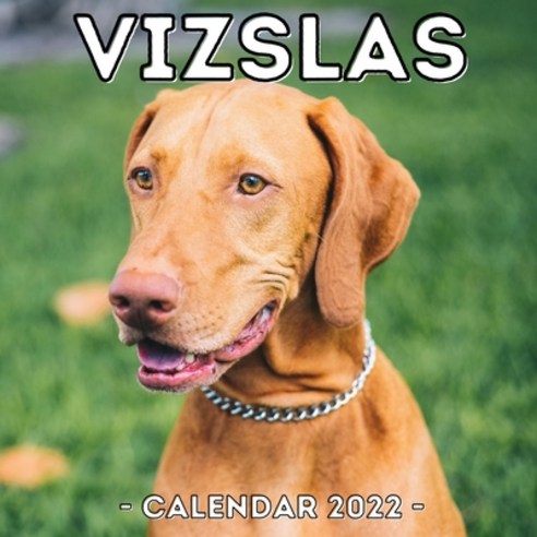 (영문도서) Vizslas Calendar 2022: 16-Month Calendar Cute Gift Idea For Vizsla Lovers Men And Women Paperback, Independently Published, English, 9798469964858