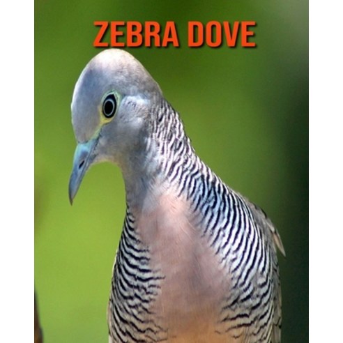Zebra Dove: Children''s Books --- Amazing Facts & Pictures Paperback, Independently Published, English, 9798697743836