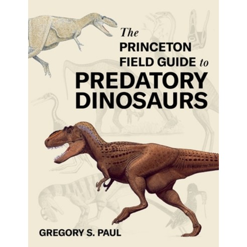 (영문도서) The Princeton Field Guide to Predatory Dinosaurs Hardcover, Princeton University Press, English, 9780691253169