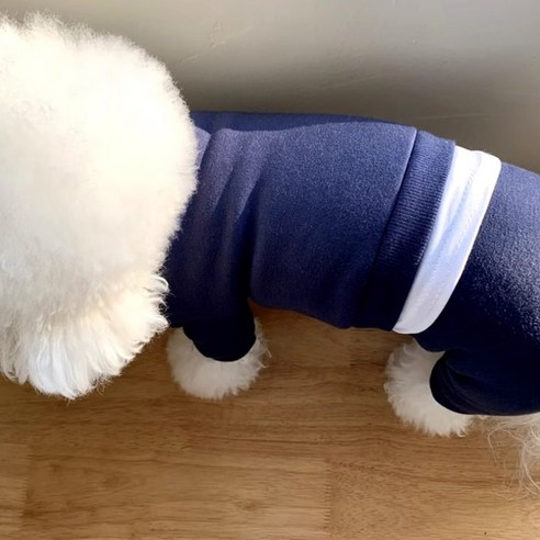 숑숑펫 애완동물 무지 페이크 레이어드 트레이닝 일체형, 1개, L, 네이비