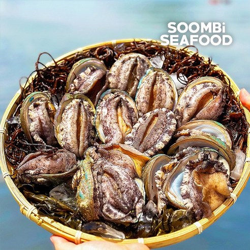 산지직송 완도 활 전복 1kg, 1개, 40-50미(마리당20~25g)