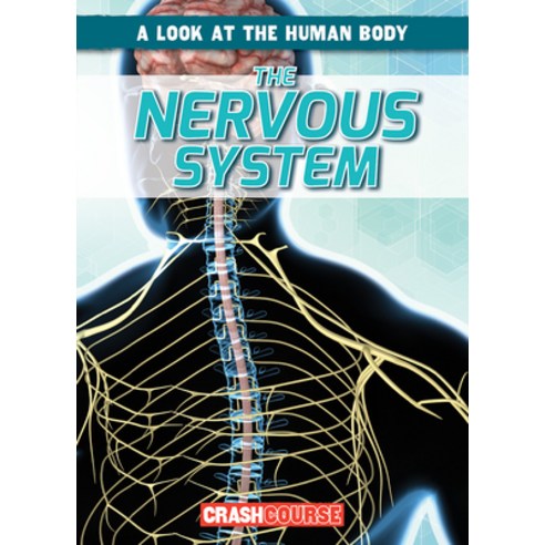 (영문도서) The Nervous System Paperback, Gareth Stevens Publishing, English, 9781538266250
