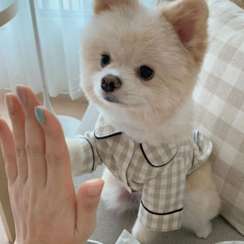 따뜻하고 아늑한 수면 환경 제공