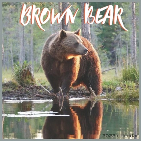 Brown Bear 2022 Calendar: Offcial Brown Bear Animal 2022 Calendar 16 Months Paperback, Independently Published, English, 9798741389065