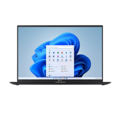 LG 2022 울트라PC 엣지 16, 차콜 그레이, 256GB, 16GB, WIN11 Home, 16U70Q-HA56K