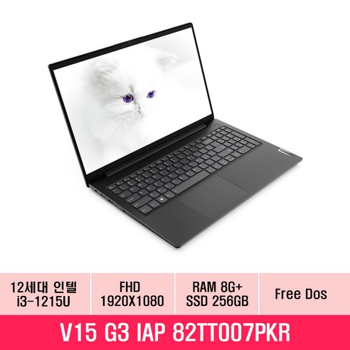 레노버 2022 V15 G3 IAP 15.6, Iron Gray, 256GB, 8GB, Free DOS, 82TT007PKR