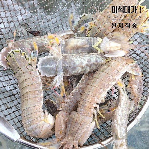 살아 숨 쉬는 바다의 선물, 당일 조업 활 갯가재