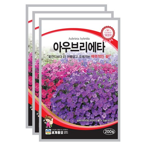 삭막한 베란다, 아우브리에타 꽃잔디 씨앗으로 나만의 정원을! 꽃잔디씨앗