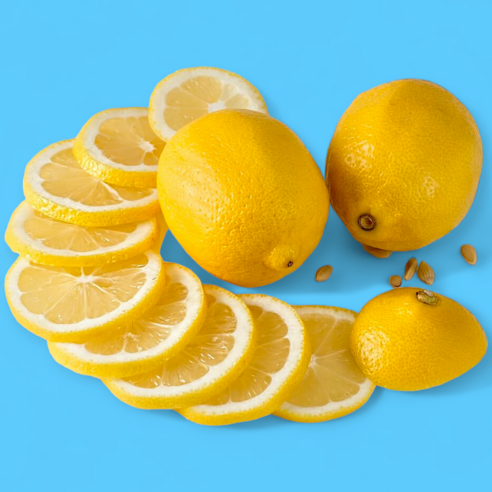 [햇살한상] 정품 레몬 생과 새콤상큼 신선한레몬, 1개, 중과 10개