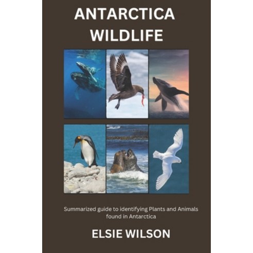 (영문도서) Antarctica Wildlife: Guide to Identifying Wildlife found in Antarctica Paperback, Independently Published, English, 9798321976715