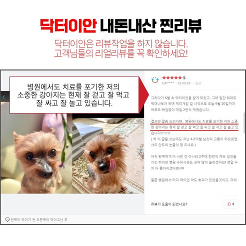 강아지 눈 눈물 관절 피부 기관지 기관지협착 기침 심장 간 신장 췌장 유산균 노견 노령견 산화질소 영양제 닥터이안 강아지종합영양제, 1세트, 종합영양제