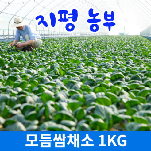 [묽맑은 양평] 지평농부 모듬쌈 & 샐러드채소, 샐러드채소1kg, 1개
