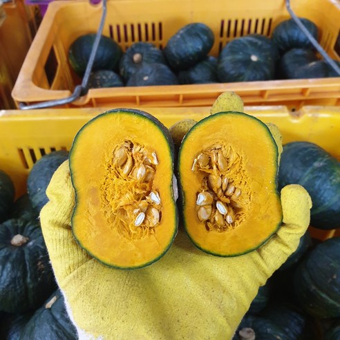제주미니단호박 세척 밤호박 못난이 정품 밤단호박, 제주 보우짱 세척 못난이, 1개, 1.5kg