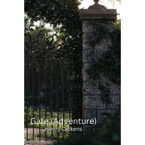 (영문도서) Gate (Adventure) Paperback, Henry Dickens, English, 9798330675265