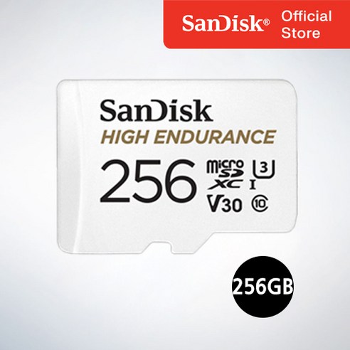 샌디스크 블랙박스전용 마이크로 SD SDSQQNR, 32GB, 1개