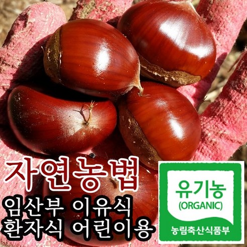 [유기농 공주알밤] (2023년 햇밤) 임산부 이유식 환자식 어린이용, 일반밤, 중짜 2kg, 1개