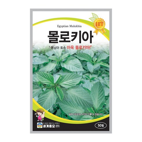 세계종묘 몰로키아 씨앗 50립 몰로키아 아욱씨 종자, 1개
