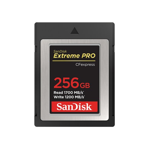 샌디스크 익스트림프로 CFexpress Card Type B 256GB