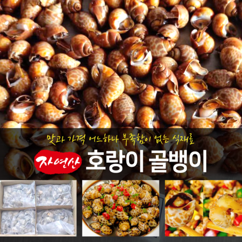 자연산 호랑이골뱅이 꽃소라 1kg 골뱅이 고동소라 갯고동 냉동, 1개, 호랑이골뱅이 50/80사이즈 1kg