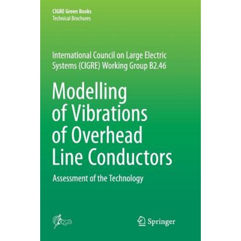 (영문도서) Modelling of Vibrations of Overhead Line Conductors: Assessment of the Technology Paperback, Springer, English, 9783030102692
