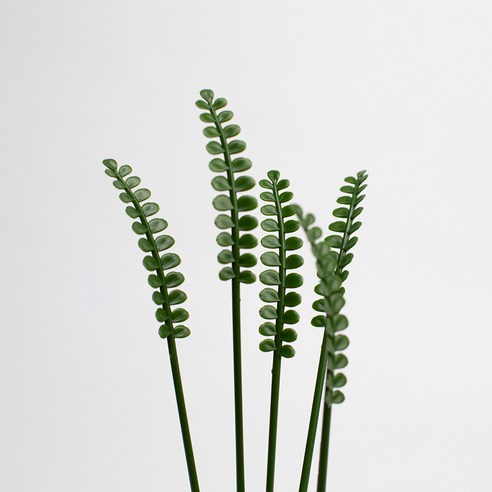 차 경험 향상을 위한 편리하고 다용도적인 두두 더피고사리 머들러 티스푼 스틱