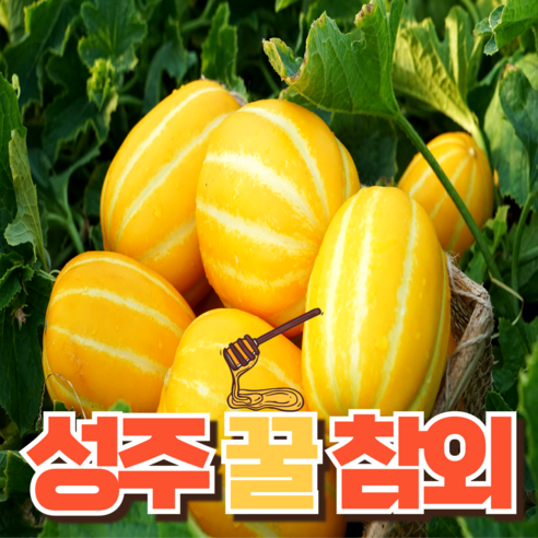 [19브릭스 고당도] 성주군 선정 성주꿀참외 3kg 5kg 10kg 최상급 가정용 산지직송, 로얄과 5kg(12~18과), 1개