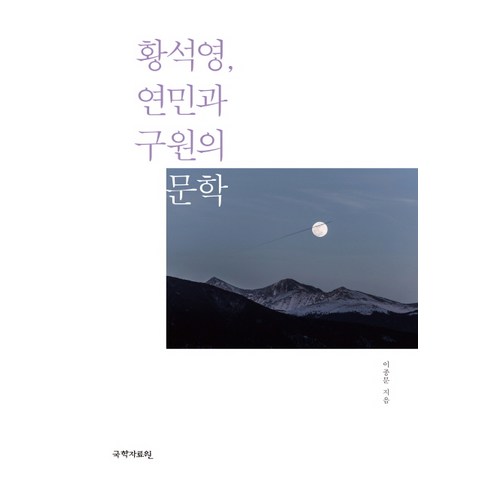 황석영 연민과 구원의 문학, 국학자료원, 이종문