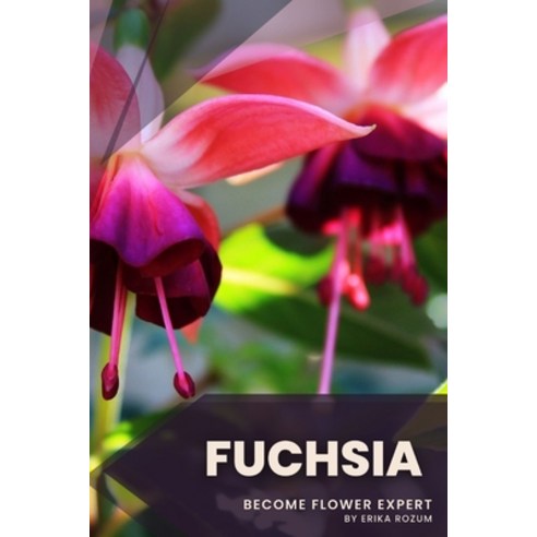 (영문도서) Fuchsia: Become flower expert Paperback, Independently Published, English, 9798391322405