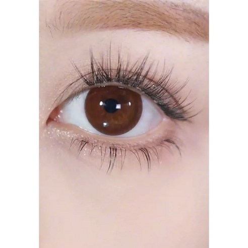 아타락시아 가닥 속눈썹으로 완성하는 나만의 섬세한 아름다움