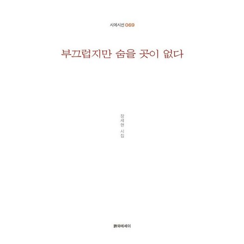 부끄럽지만 숨을 곳이 없다:장세현 시집, 시와에세이, 장세현 저