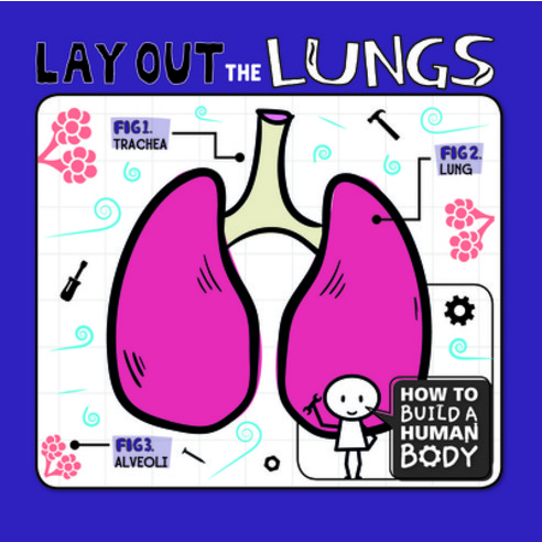 Lay Out the Lungs Library Binding, Enslow Publishing