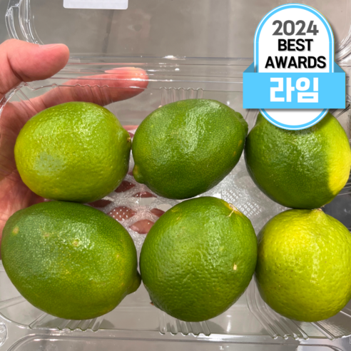 뉴뜨레 라임 슬라이스 (냉동), 500g, 1개 라임냉동 11 멕시코산 선별 생 라임 lime 6개