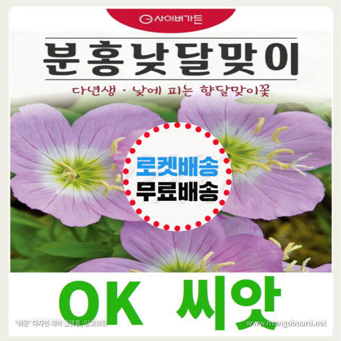 [OK씨앗] [분홍낮달맞이] 분홍낮달맞이씨앗 종자(오케이씨앗), 400립