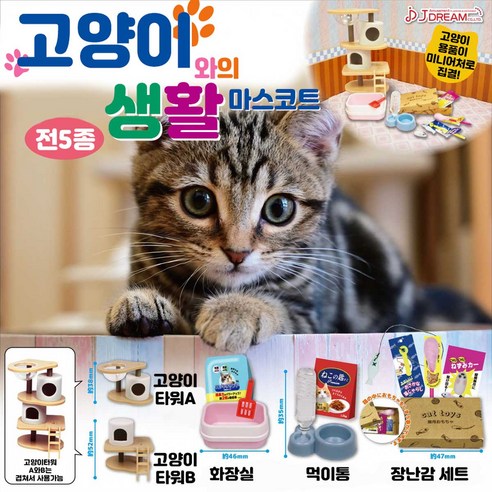 제이드림 고양이와의 생활 일본 캡슐토이 피규어 가챠 5종 세트, 1세트