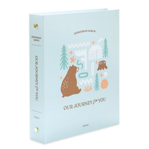 인디고 처음부모 초음파사진 포켓 앨범 (112포켓 스티커4매 포토북), 민트, 민트