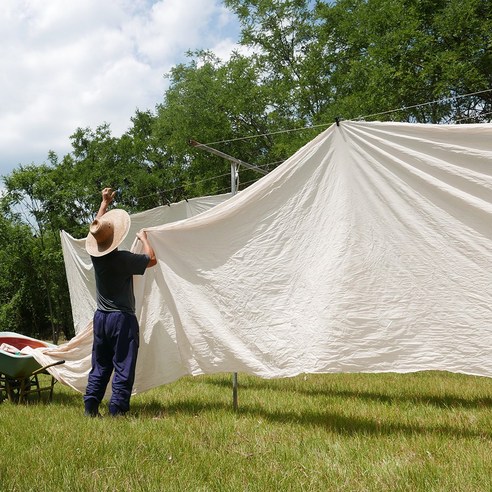 햇살 머금은 감빛, 자연을 담은 염색!