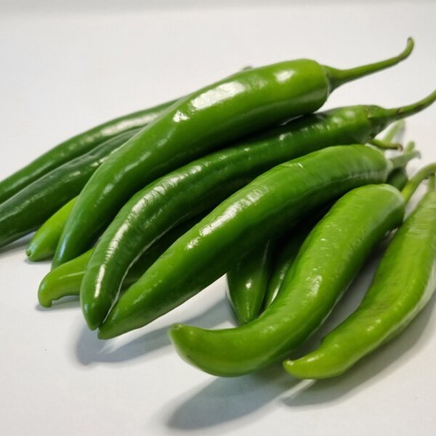 [더자인] 국내산 아삭이고추 오이고추 1kg, 단일속성
