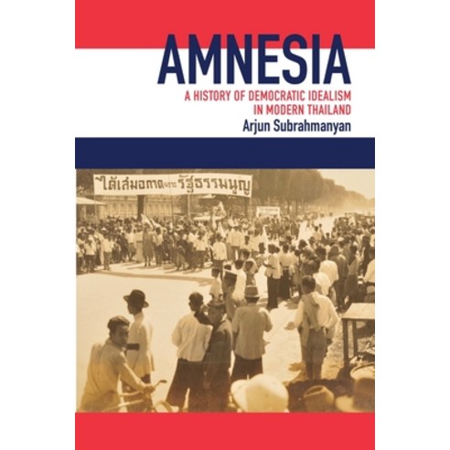 (영문도서) Amnesia Paperback, State University of New Yor..., English, 9781438486505