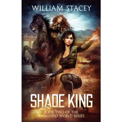 Shade King: An Urban Fantasy Military Adventure Paperback, Independently Published
