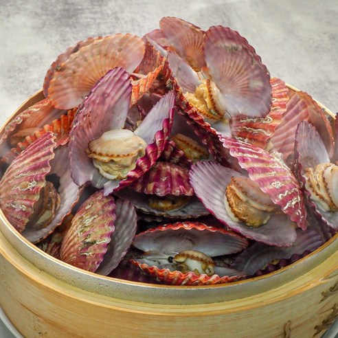 국산 홍가리비, 해산물의 진미를 만나다 인어교주해적단