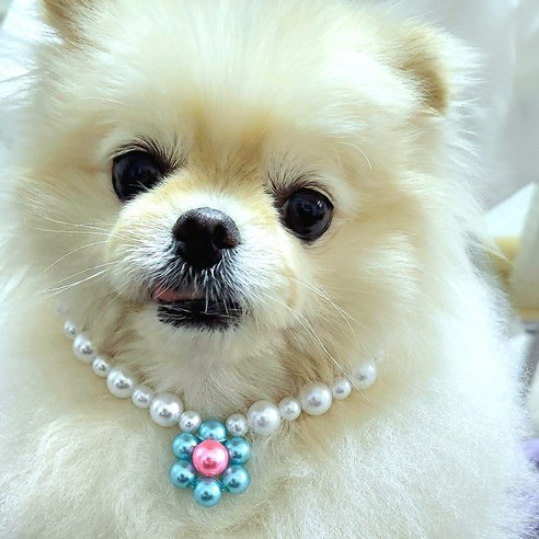 강아지 고양이 진주 꽃 목걸이, 1개, 블루