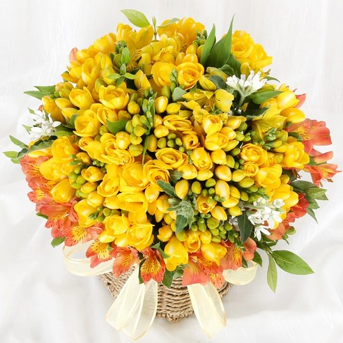 프리지아 꽃바구니로 특별한 날을 더욱 특별하게