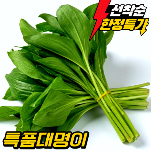 [일일한정 초특가] 울릉도종 명이나물 대명이 강원도 산지직송 산나물