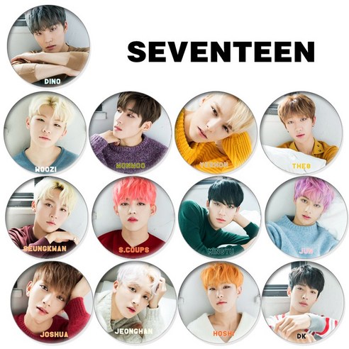 세븐틴 Seventeen 굿즈 배지 13종 오음, 디노