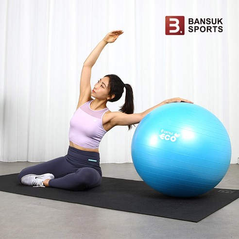 반석스포츠 에코짐볼 65cm, 퍼플 Best Top5 반석스포츠 에코짐볼 65cm, 퍼플 Best Top5