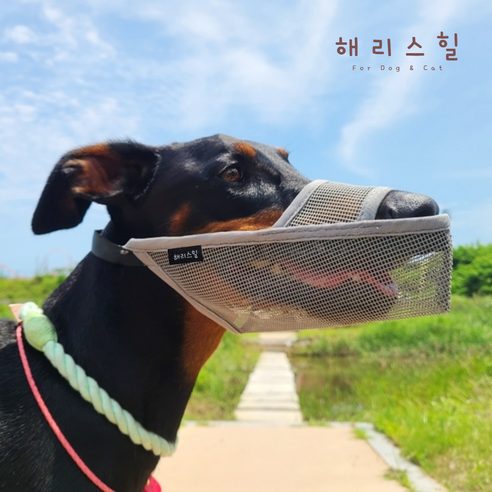 해리스힐 초경량 원버튼 메쉬 입마개 L, 1개, 모던그레이