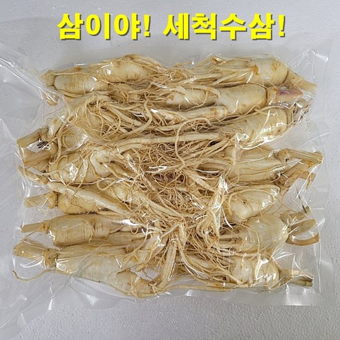 금산 삼이야 난발 세척 수삼 700g 13~15 뿌리 100% 국내산 5년근 6년근 가정용 오크용 홍삼 수삼 난발삼 산지직송, 700g(13~15뿌리), 1개